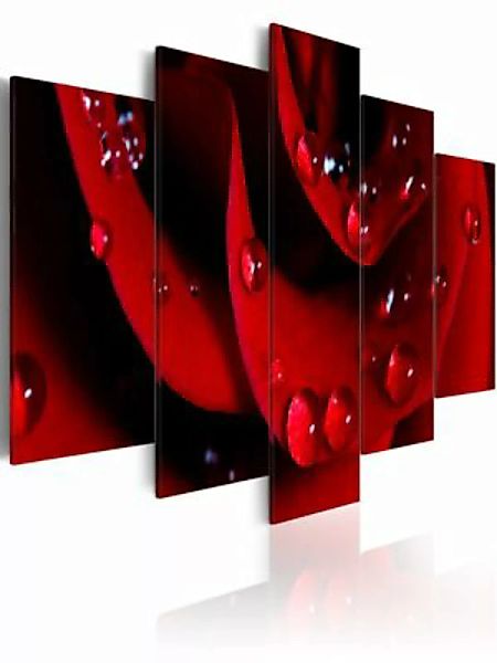 artgeist Wandbild Eine rote Rose schwarz/rot Gr. 200 x 100 günstig online kaufen