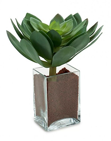 Kunstpflanze Sharp Leaves 25 X 24 Cm Grün günstig online kaufen