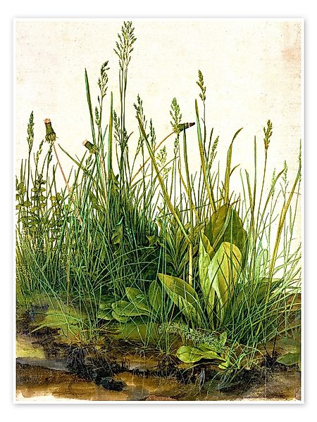 Posterlounge Poster Albrecht Dürer, Das große günstig online kaufen