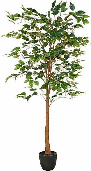 Creativ green Kunstbaum "Ficus Benjamina", mit naturgetreuem Blattwerk und günstig online kaufen