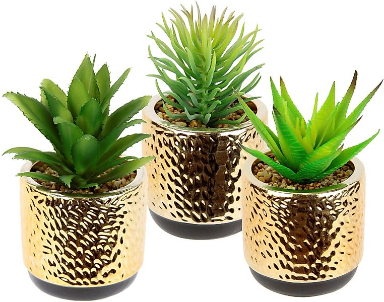 Kunstpflanze Sukkulenten-Set, I.GE.A., Höhe 15 cm, günstig online kaufen
