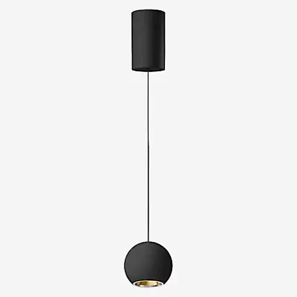 Bega 51008 - Studio Line Pendelleuchte LED, Messing/schwarz, Bega Smart App günstig online kaufen