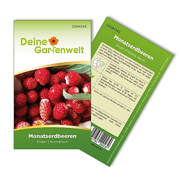 Deine Gartenwelt Monatserdbeeren Rügen Samen günstig online kaufen