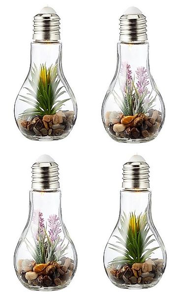 Levandeo® LED Dekoobjekt, 4er Set Sukkulenten Glühbirne Glas je B x H 8 x 1 günstig online kaufen
