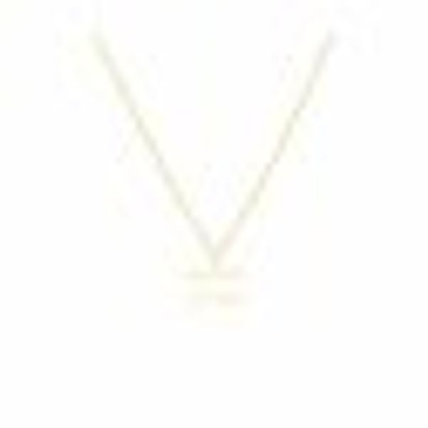 Anhänger mit Kette 925-Sterling Silber vergoldet Glänzend 42cm Wassermann günstig online kaufen