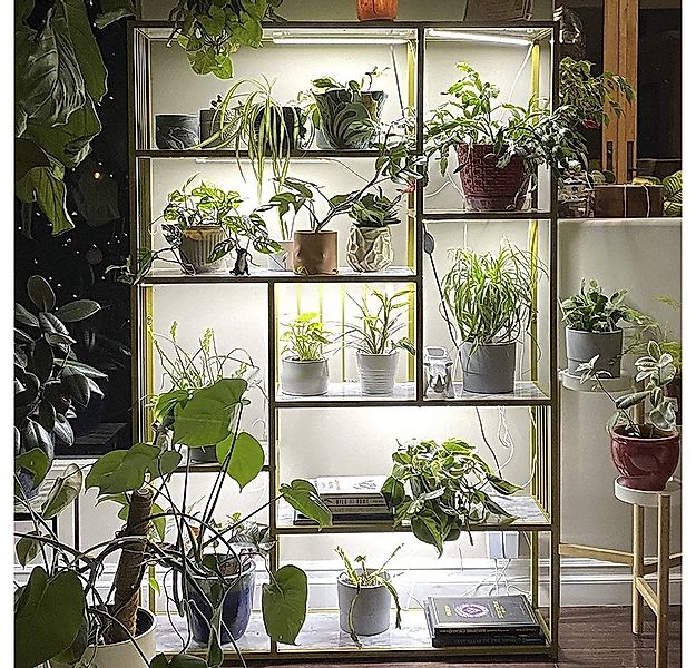 Laybasic Pflanzenlampe 48/72 LEDs Vollspektrum Pflanzenlicht,30/50cm 1-12 S günstig online kaufen