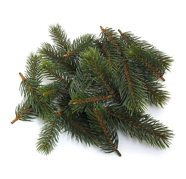 Kunstzweig Tannenstreu "REAL" künstlich, 24 Teile. Größe ca 8, 10, 13cm., G günstig online kaufen