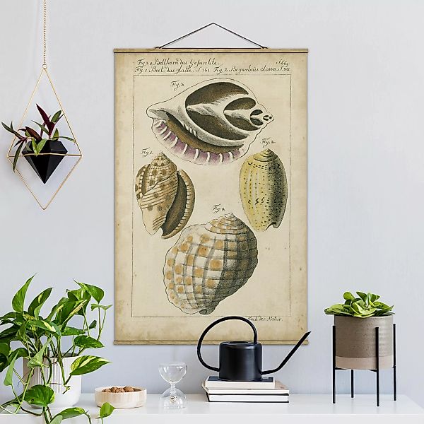Stoffbild Strand mit Posterleisten - Hochformat Vintage Muschel Zeichnung G günstig online kaufen