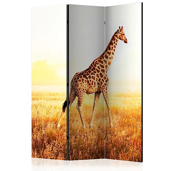 3-teiliges Paravent - Giraffe - Walk [room Dividers] günstig online kaufen