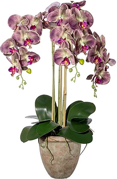 Creativ green Kunstorchidee "Orchidee Phalaenopsis", mit traumhaft schönen günstig online kaufen