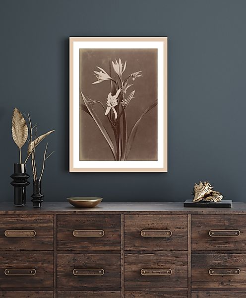 queence Bild mit Rahmen »Marlies«, Blumen-Pflanzen, Premium Poster mit Natu günstig online kaufen