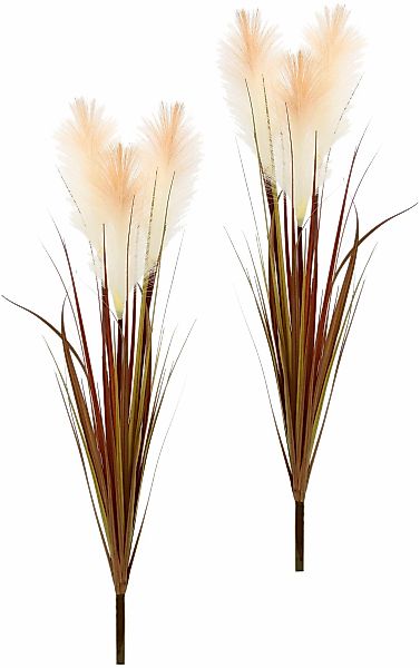 Kunstblume Pampasgras, I.GE.A., Höhe 75 cm, 2er Set günstig online kaufen