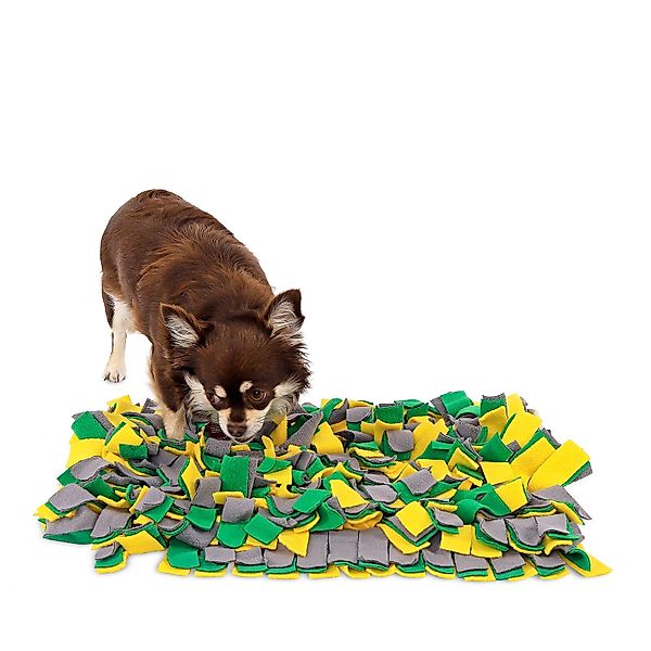 lionto Tier-Intelligenzspielzeug Schnüffelteppich, Suchteppich für Hunde, günstig online kaufen