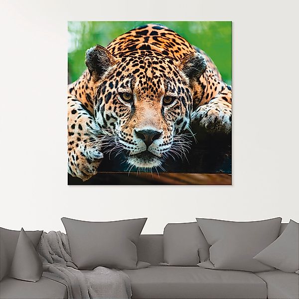 Artland Glasbild "Südamerikanischer Jaguar", Wildtiere, (1 St.) günstig online kaufen