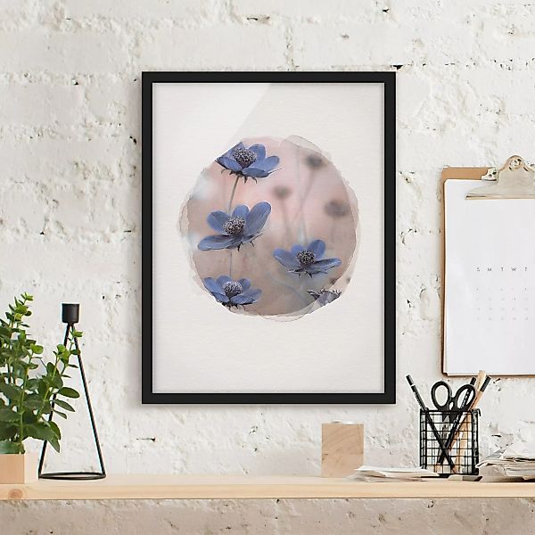Bild mit Rahmen Blumen - Hochformat Wasserfarben - Blaue Kosmeen günstig online kaufen