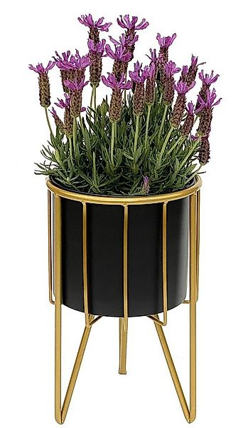 DanDiBo Blumenhocker mit Topf Metall Gold Schwarz Rund 32-45 cm Blumenständ günstig online kaufen
