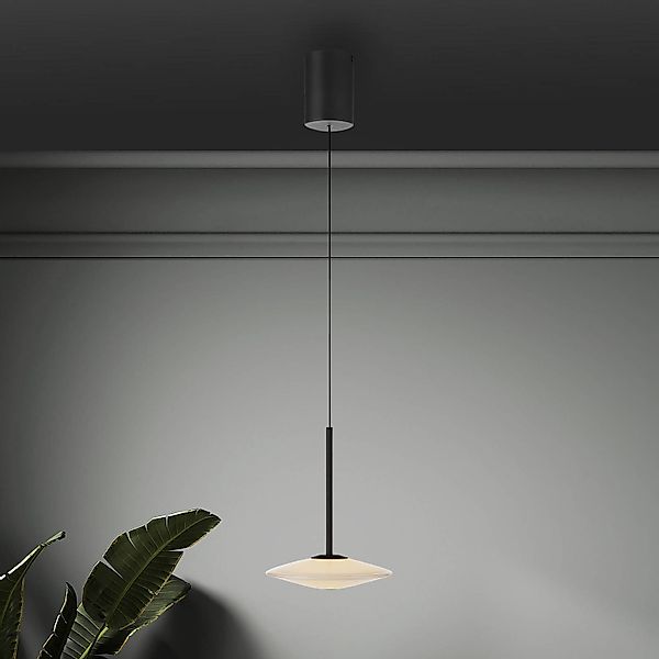 Paul Neuhaus LED-Hängelampe Elipsa, 1-flg., weiß/schwarz günstig online kaufen