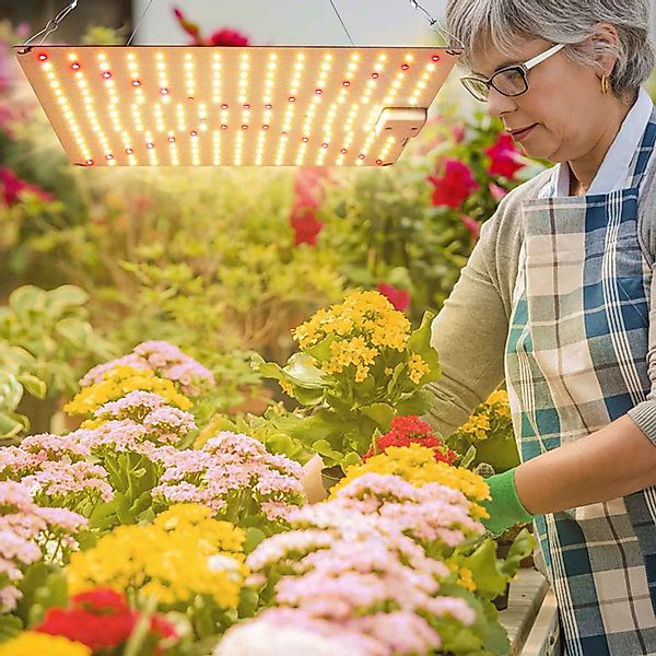 Jibenhome Pflanzenlampe LED Grow Lampe Pflanzenlicht günstig online kaufen