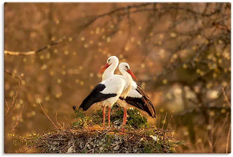 Artland Leinwandbild »Storchenpaar« Vogelbilder 1 Stk. tlg. auf Keilrahmen günstig online kaufen