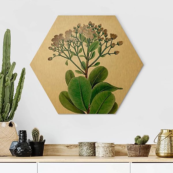 Hexagon-Alu-Dibond Bild Blumen Laubbaum Schautafel VIII günstig online kaufen