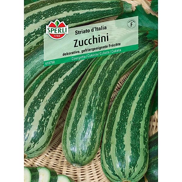 Sperli Zucchini Striato d'Italia (Cucurbita pepo) günstig online kaufen