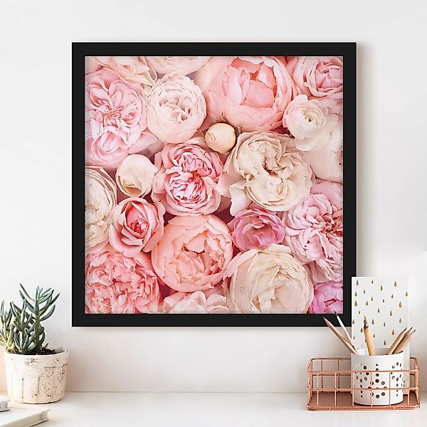 Bild mit Rahmen - Quadrat Rosen Rosé Koralle Shabby günstig online kaufen