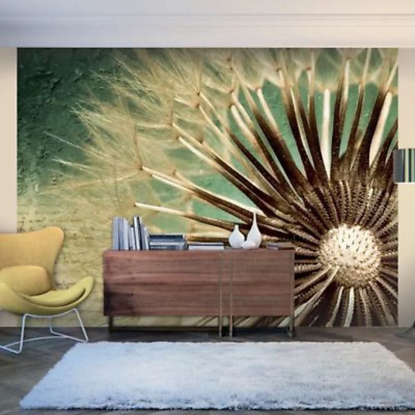 artgeist Fototapete Focus on dandelion mehrfarbig Gr. 200 x 154 günstig online kaufen
