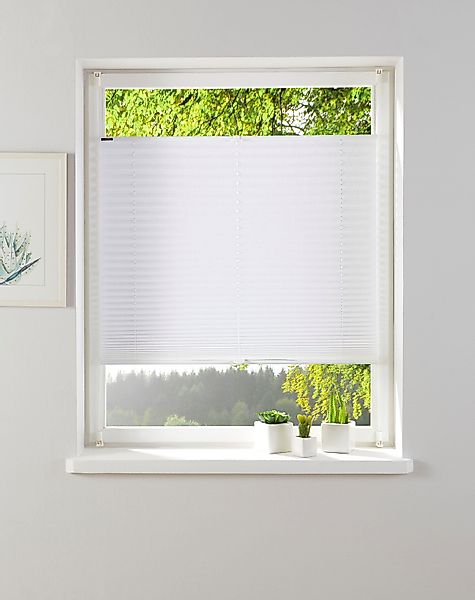 my home Plissee "KATIA" Lichtschutz ohne Bohren verspannt Fixmaß, Crushed-O günstig online kaufen