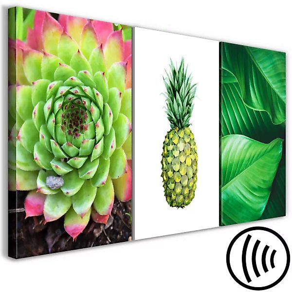 Bild auf Leinwand Tropische Natur - Triptychon mit grünen Pflanzen und Anan günstig online kaufen