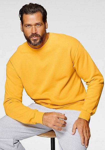 Fruit of the Loom Sweatshirt im unifarbenen Design günstig online kaufen