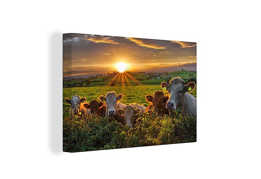 OneMillionCanvasses® Leinwandbild Sonne - Kuh - Gras, Fotodruck (1 St), Lei günstig online kaufen