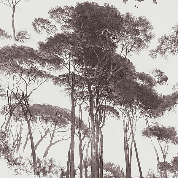 Bricoflor Vlies Waldtapete Schwarz günstig online kaufen