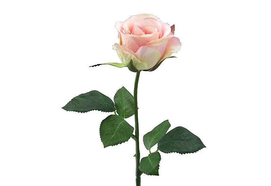 Kunstblume Künstliche Rose Wasserstiel, ca 47cm. Kunstblume Dekoblume, Gasp günstig online kaufen