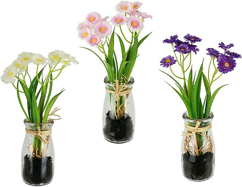 Kunstblume Margeriten, I.GE.A., Höhe 21 cm, Künstliche Mini-Blüten im Glas günstig online kaufen