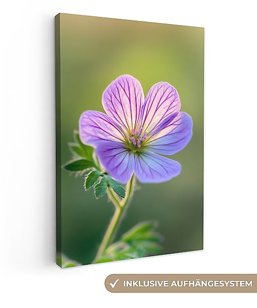 OneMillionCanvasses® Leinwandbild Blume - Nahaufnahme - günstig online kaufen
