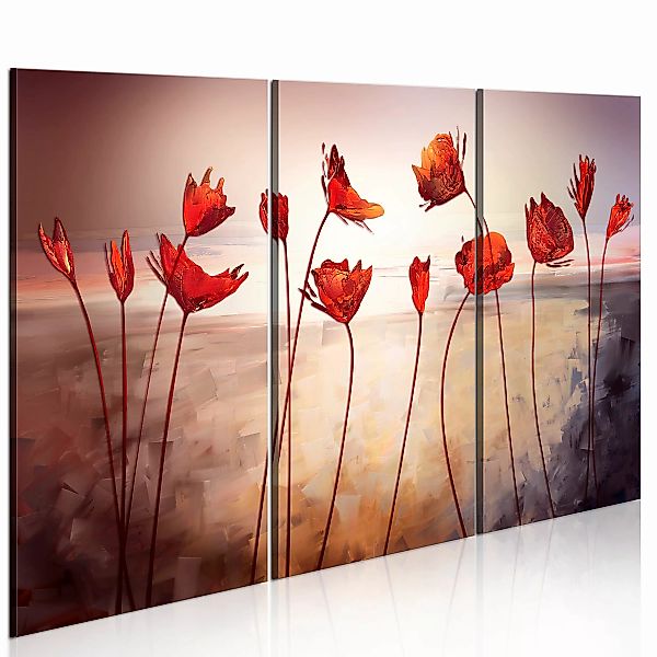Wandbild - Bright Red Poppies günstig online kaufen