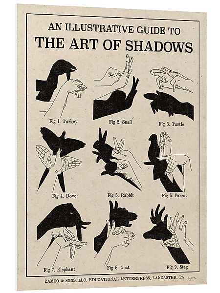 Posterlounge Wandbild Die Kunst der Schattenspiele günstig online kaufen