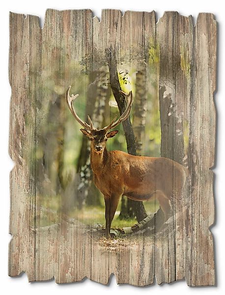 Artland Holzbild "Hirsch 4 - Wald", Wildtiere, (1 St.) günstig online kaufen