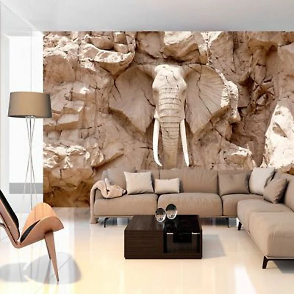 artgeist Fototapete Elephant Carving (South Africa) beige Gr. 100 x 70 günstig online kaufen