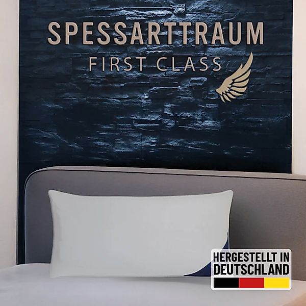 SPESSARTTRAUM Daunenkissen »FIRST CLASS«, Füllung: 60% Daunen, 40%Federn, B günstig online kaufen