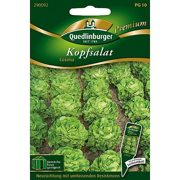 Quedlinburger Kopfsalat Cosima Loses Saatgut günstig online kaufen