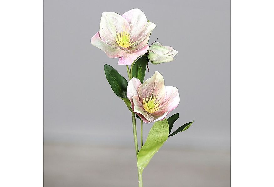 Kunstblume Christrosenzweig 35cm DP künstliche Christrose Schneerose Blumen günstig online kaufen