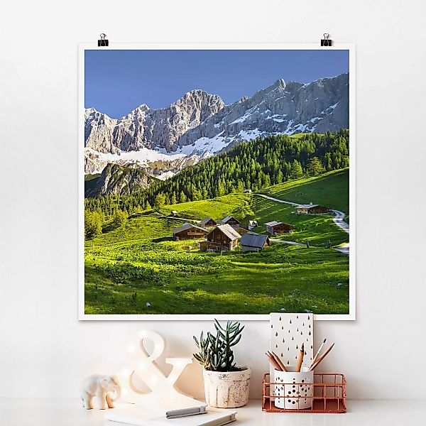 Poster - Quadrat Steiermark Almwiese günstig online kaufen