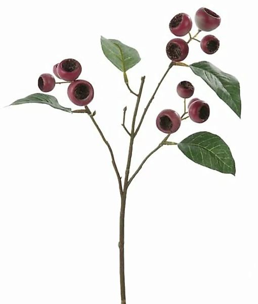 Flower & Style Kunstpflanzen & -blumen Mispelzweig aubergine-hellgrün 46 cm günstig online kaufen