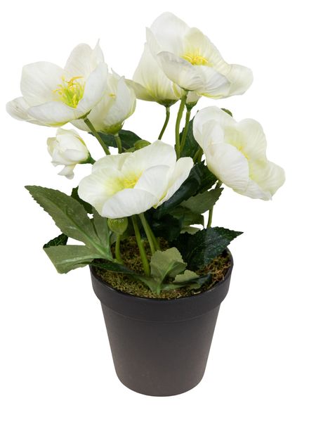 Kunstblume Christrosenbusch im Topf PM Kunstpflanzen günstig online kaufen