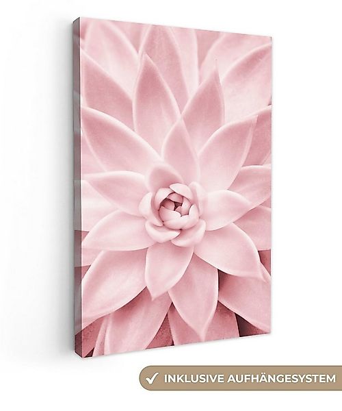 OneMillionCanvasses® Leinwandbild Blume - Rosa - Natur - Pflanze, Fotodruck günstig online kaufen