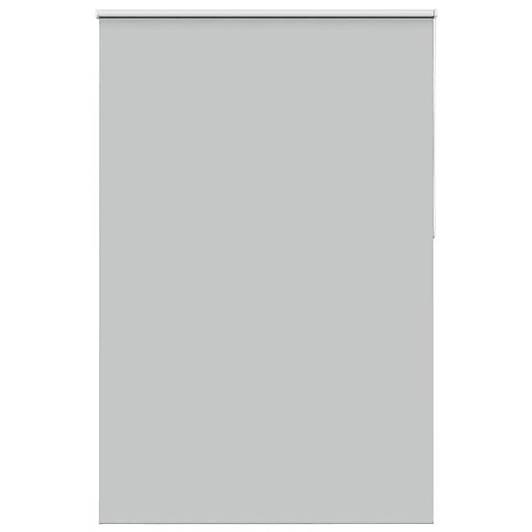 vidaXL Verdunkelungsrollo Hellgrau 160x230cm Stoffbreite 156,6cm 4011478 günstig online kaufen