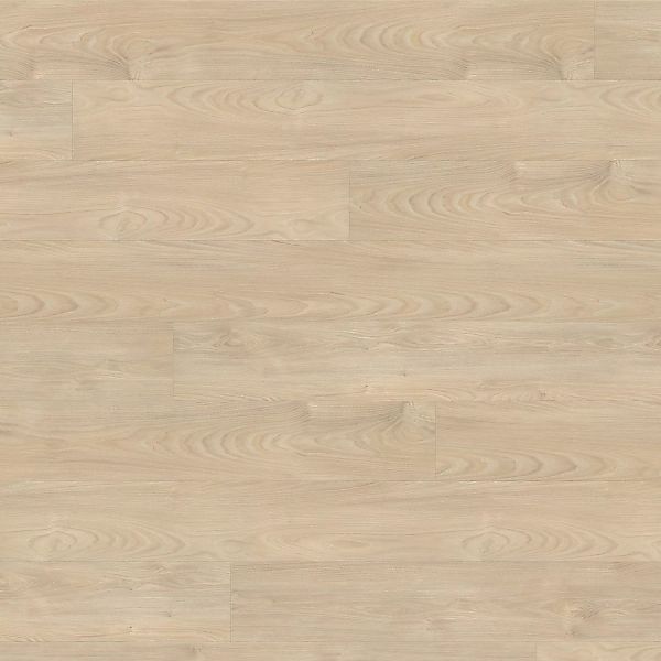 Living by Haro XL Laminat 8 mm Ahorn Vario Silber günstig online kaufen