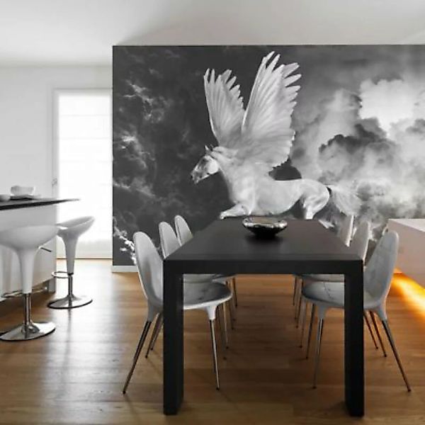artgeist Fototapete Pegasus auf dem Weg zum Olymp schwarz/weiß Gr. 350 x 27 günstig online kaufen