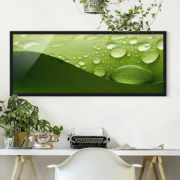 Bild mit Rahmen Blumen - Panorama Drops of Nature günstig online kaufen